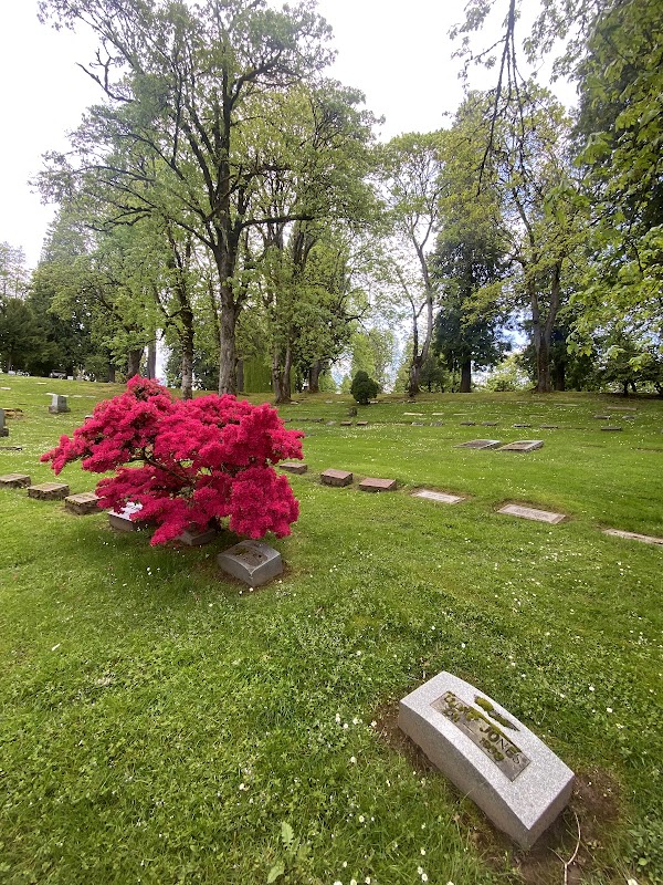 River View Cemetery grounds