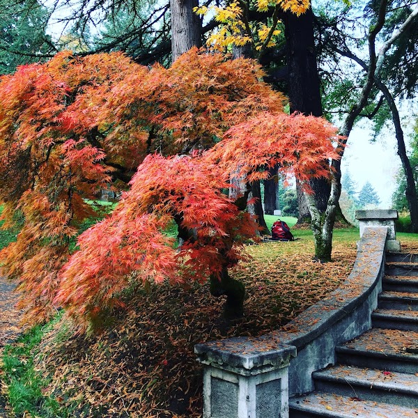 River View Cemetery grounds