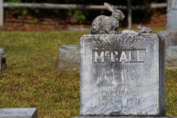 Riverbank Cemetery grounds
