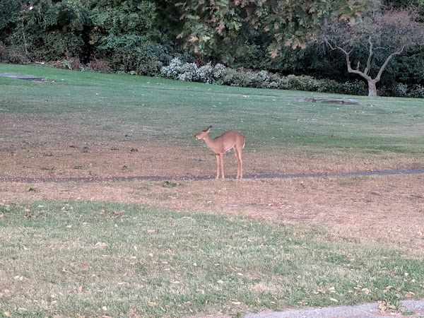 Riverside Cemetery grounds