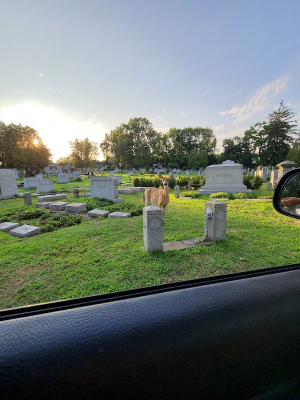 Riverside Cemetery grounds