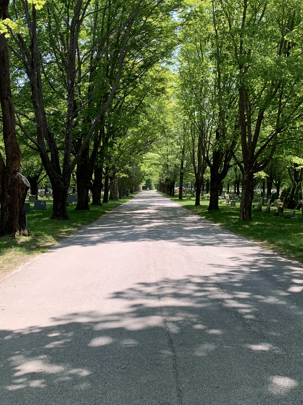 Riverside Cemetery cemetery grounds and headstones