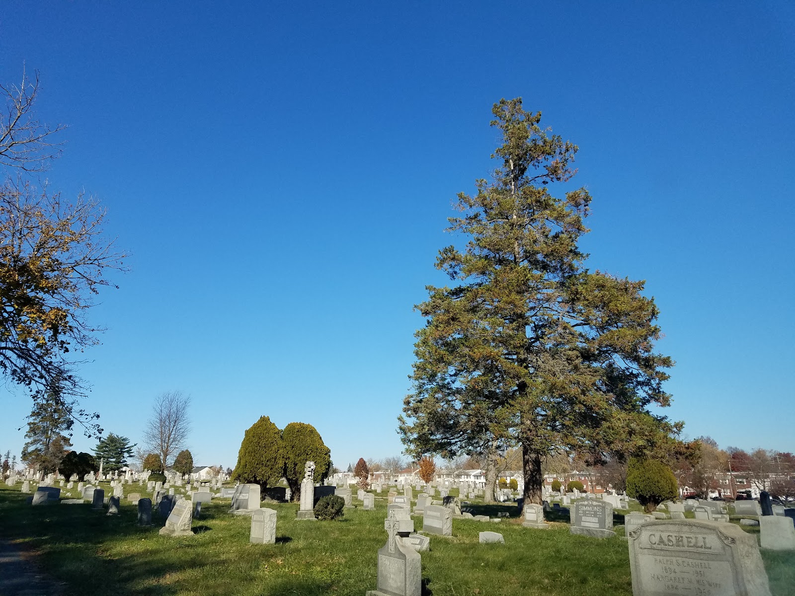Riverview Cemetery cemetery grounds and headstones