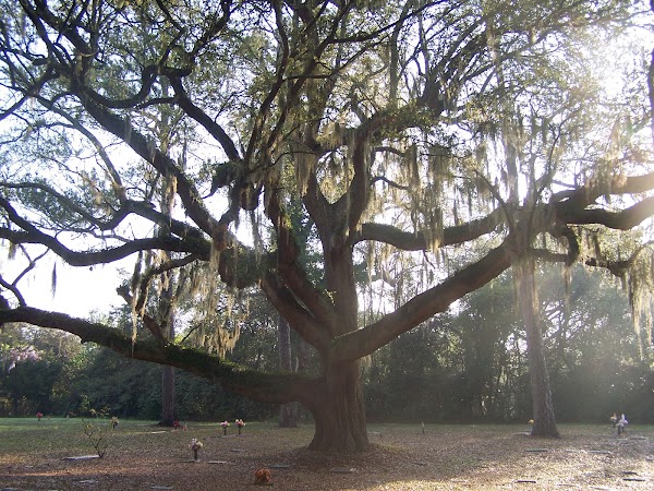 Riverview Memorial Park Cemetery grounds