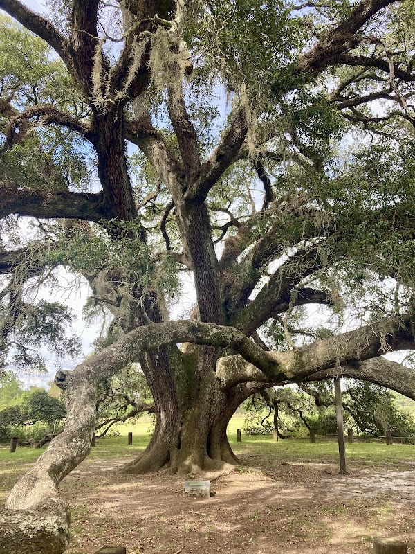 Robert A. Fowler Memorial Park grounds