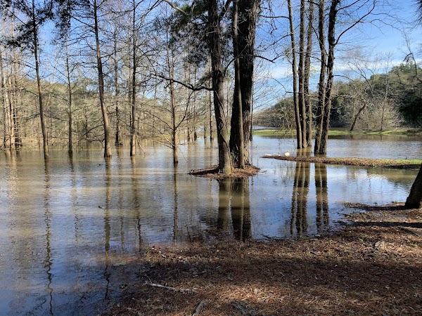 Robert A. Fowler Memorial Park grounds