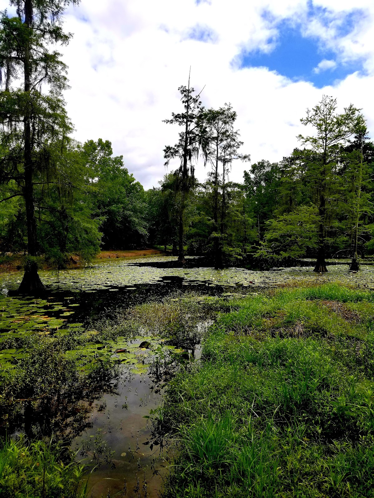 Robert A. Fowler Memorial Park cemetery grounds and headstones