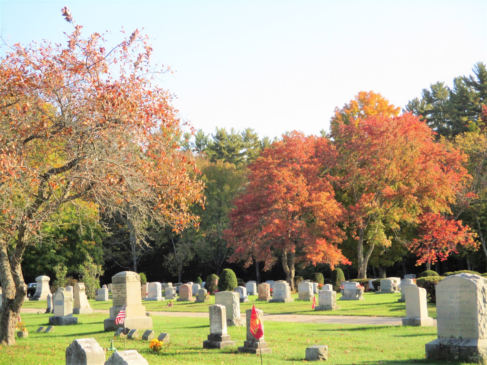 Rochester Cemetery cemetery grounds and headstones