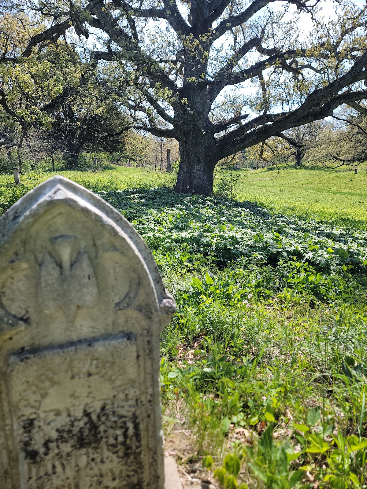 Rochester Cemetery cemetery grounds and headstones
