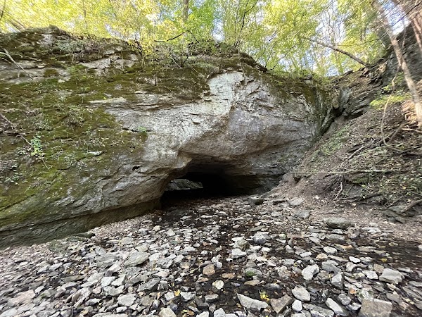 Rock Bridge Memorial State Park grounds