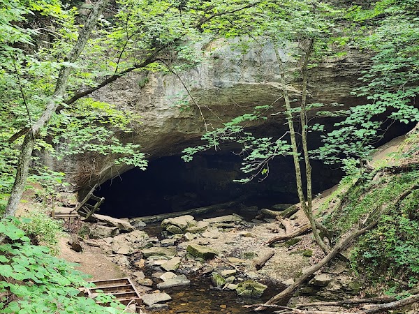 Rock Bridge Memorial State Park grounds