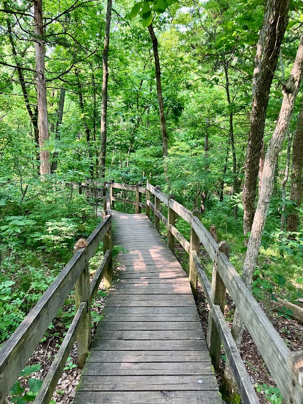 Rock Bridge Memorial State Park grounds