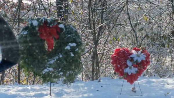 Rock Island Memorial Park Cemetery and Mausoleum grounds