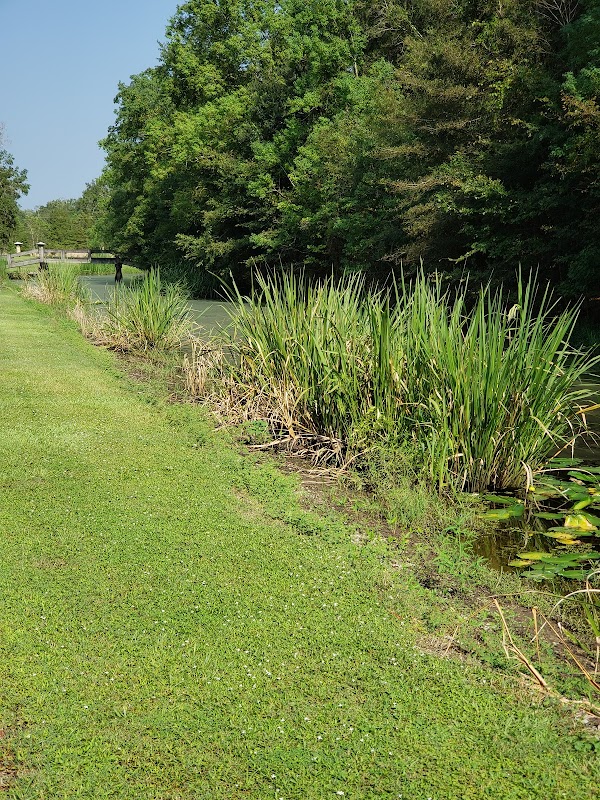 Roger J. Clouatre Memorial Park grounds