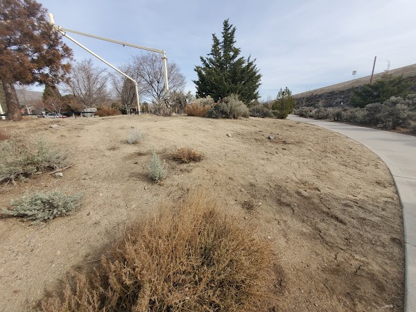 Ronald D Wilson Memorial Park grounds