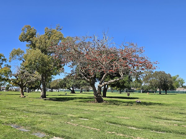 Roosevelt Memorial Park Cemetery grounds