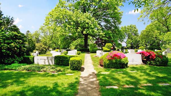 Roosevelt Memorial Park