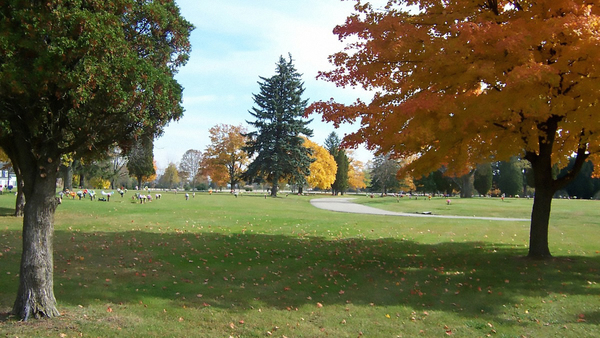 Rose Hill Burial Park cemetery grounds and headstones