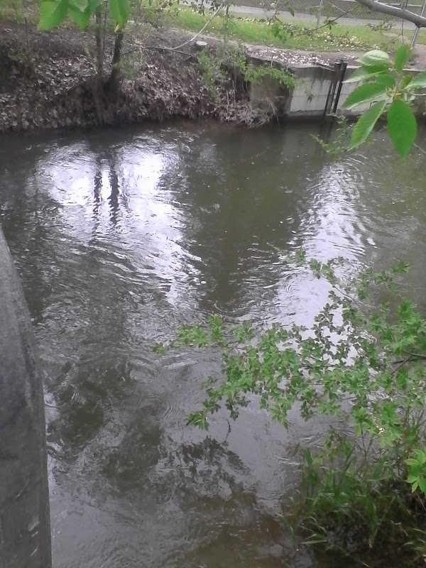 Rose Hill Cemetery grounds