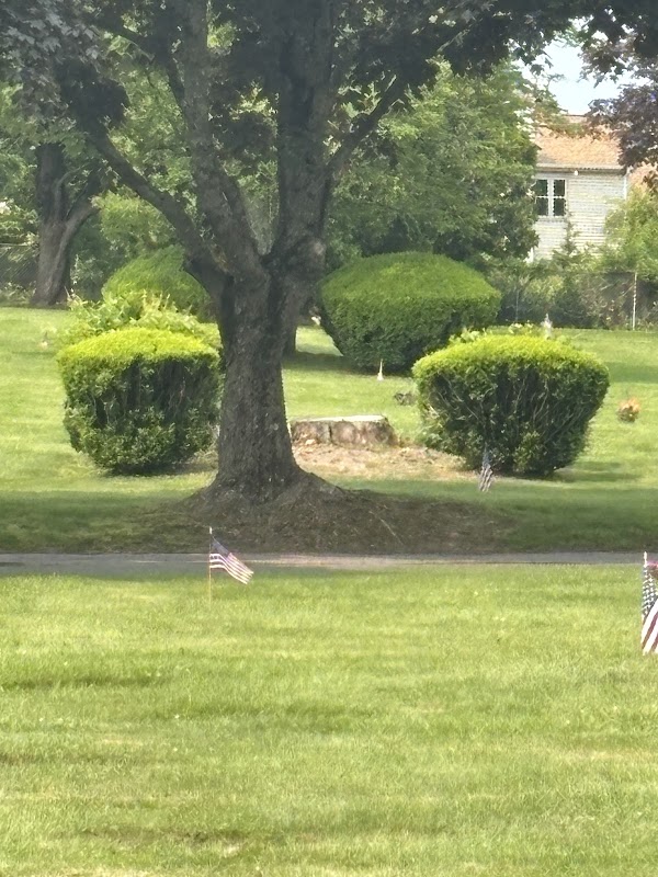 Rose Hill Memorial Park grounds