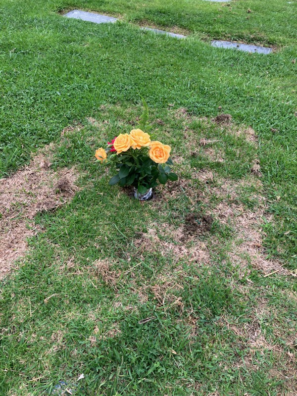 Rose Hills Mortuary grounds