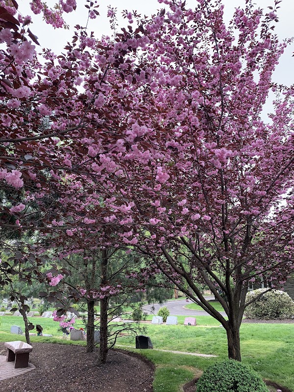 Rosedale Cemetery grounds