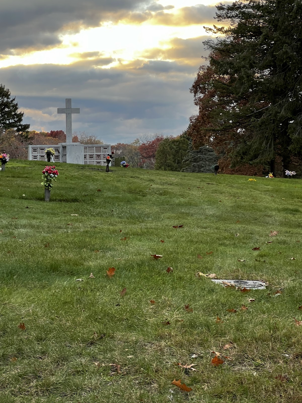 Rosedale Memorial Park Cemetery cemetery grounds and headstones