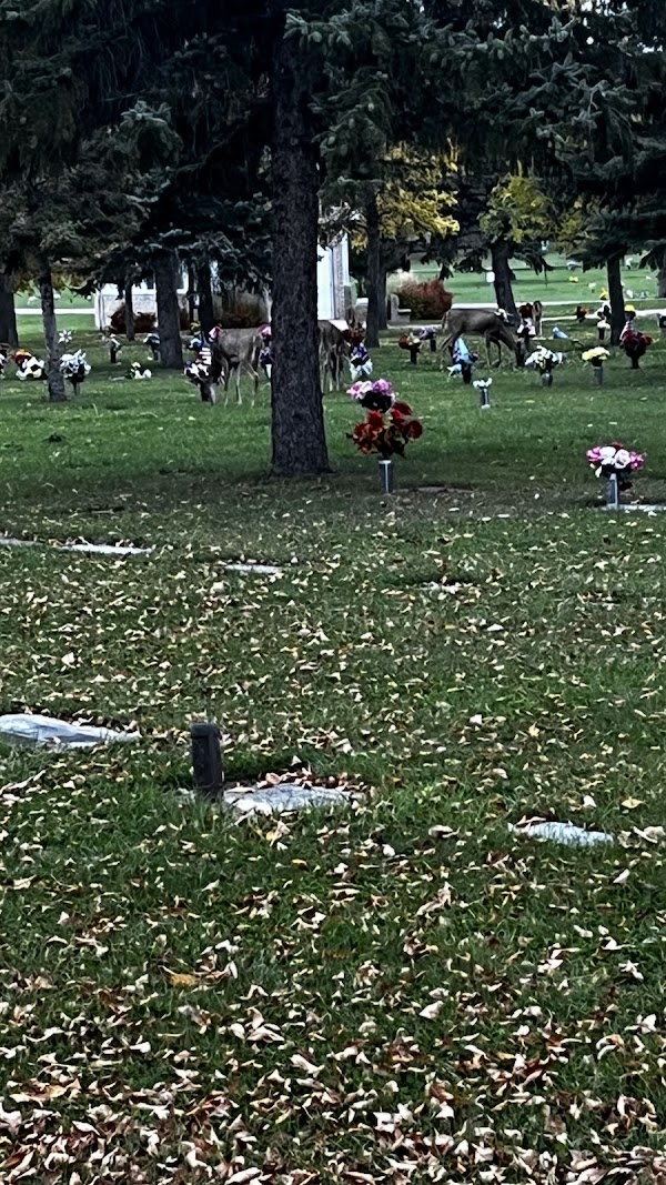 Rosehill Memorial Cemetery grounds