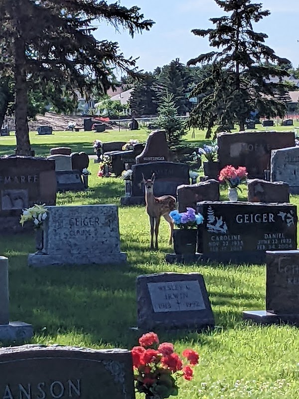Rosehill Memorial Cemetery grounds