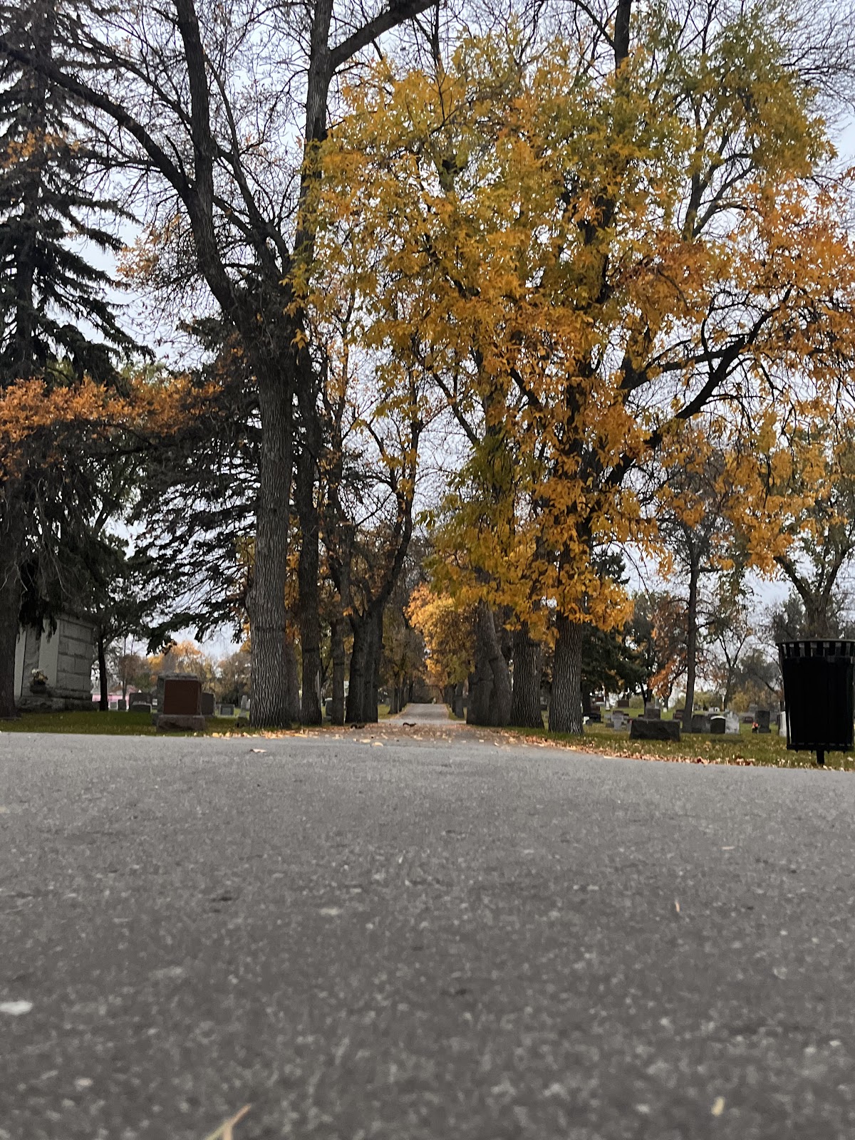 Rosehill Memorial Cemetery cemetery grounds and headstones