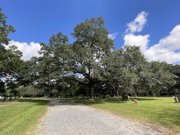 Roselawn Memorial Park grounds