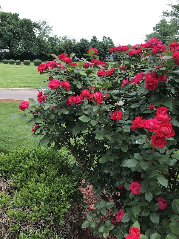 Rosemount Memorial Park grounds