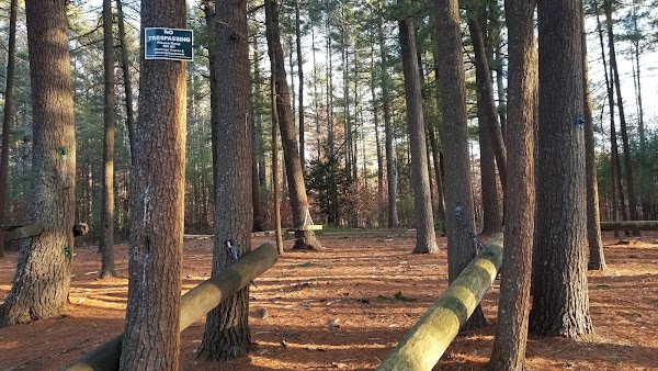 Roy Memorial Park grounds