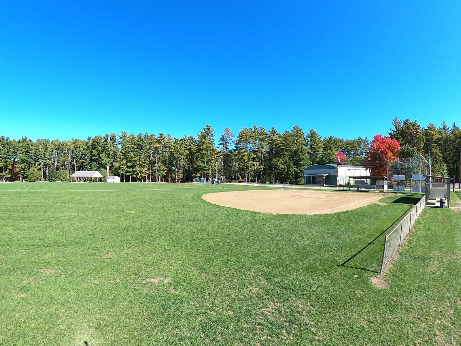 Roy Memorial Park cemetery grounds and headstones