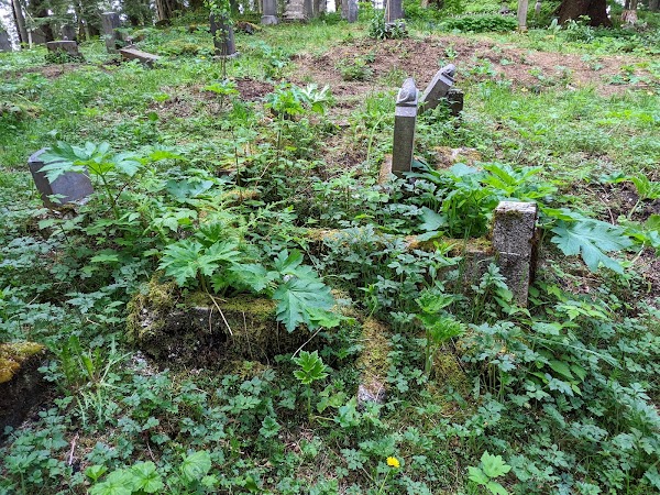 Russian Orthodox Cemetery grounds