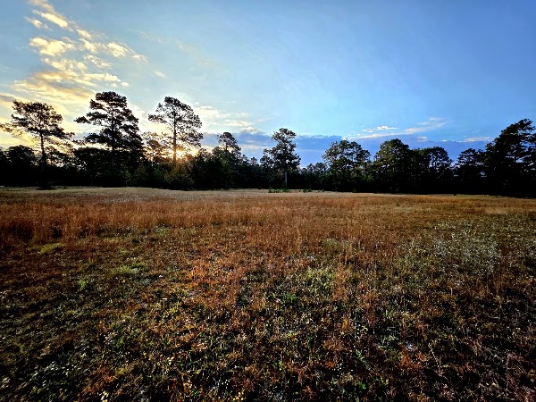Sacred Grove Burial Preserve grounds