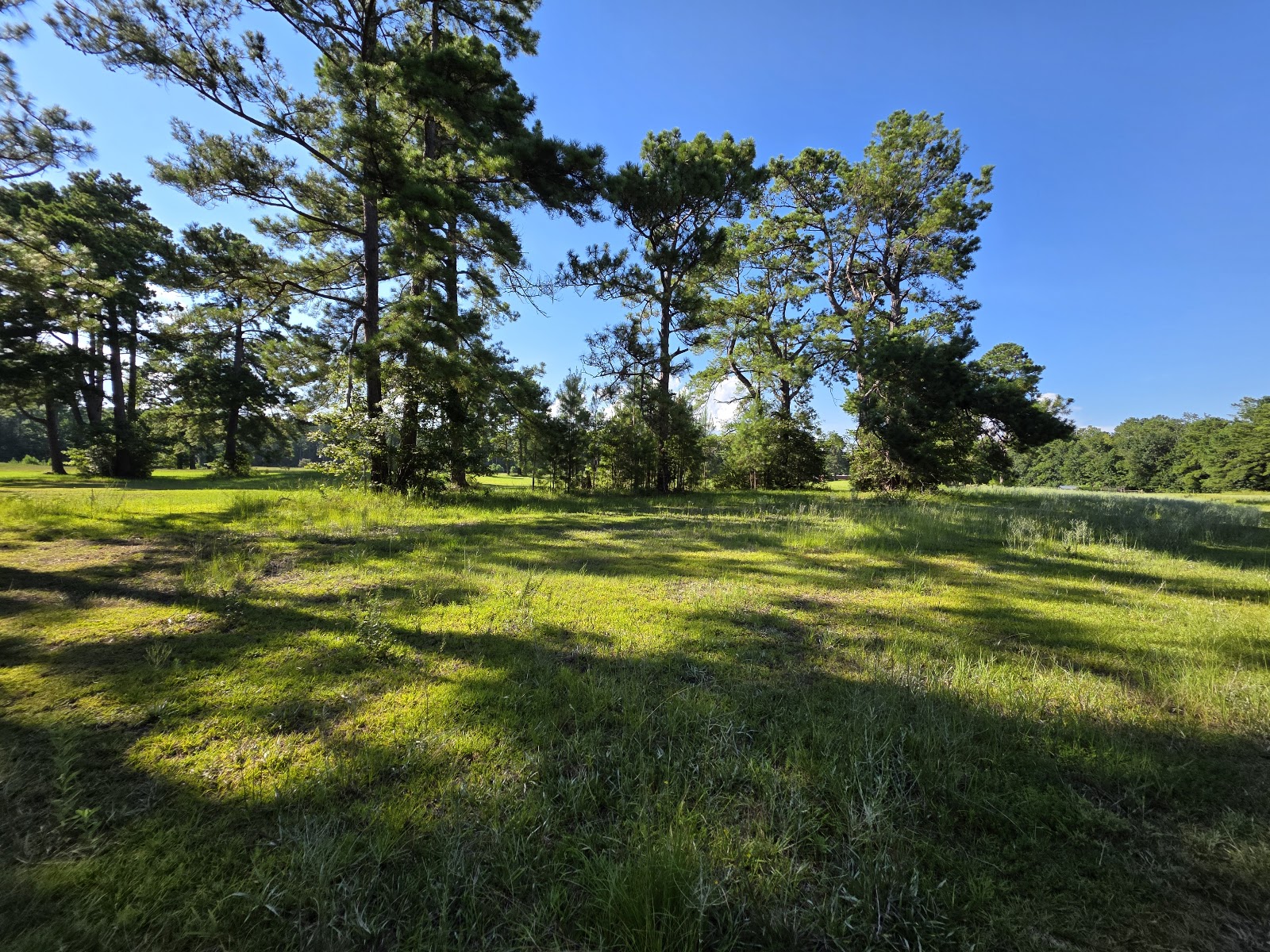 Sacred Grove Burial Preserve headstone and grounds