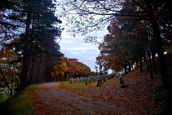 Saint Francis Cemetery grounds