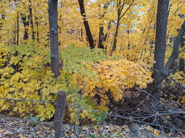 Saint Joseph Cemetery grounds