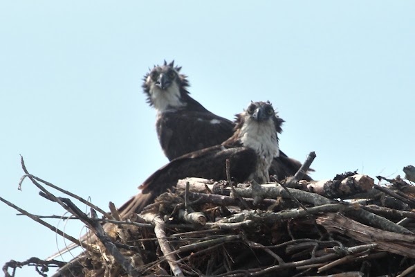 Saint Peter's Episcopal Cemetery grounds