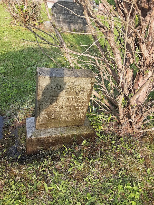Salt River Cemetery grounds