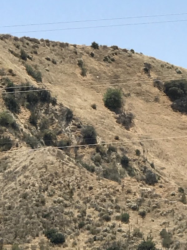 San Gorgonio Memorial Park grounds