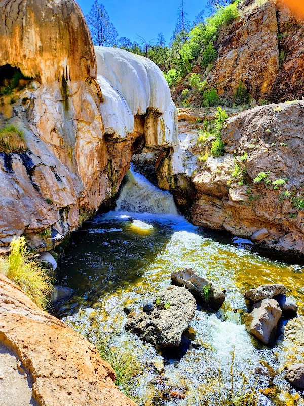 Santa Fe National Forest grounds