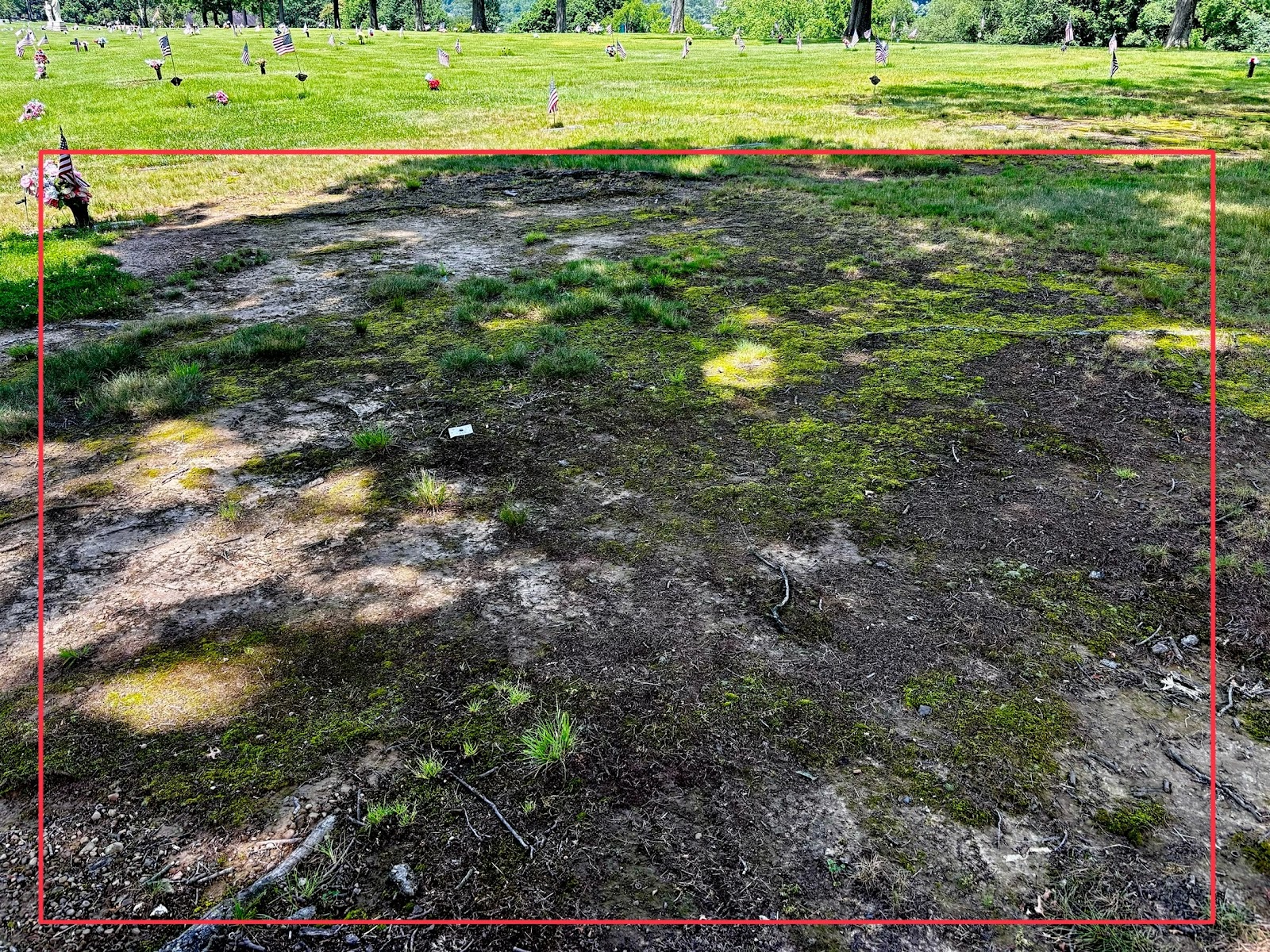 Schuylkill Memorial Park headstone and grounds