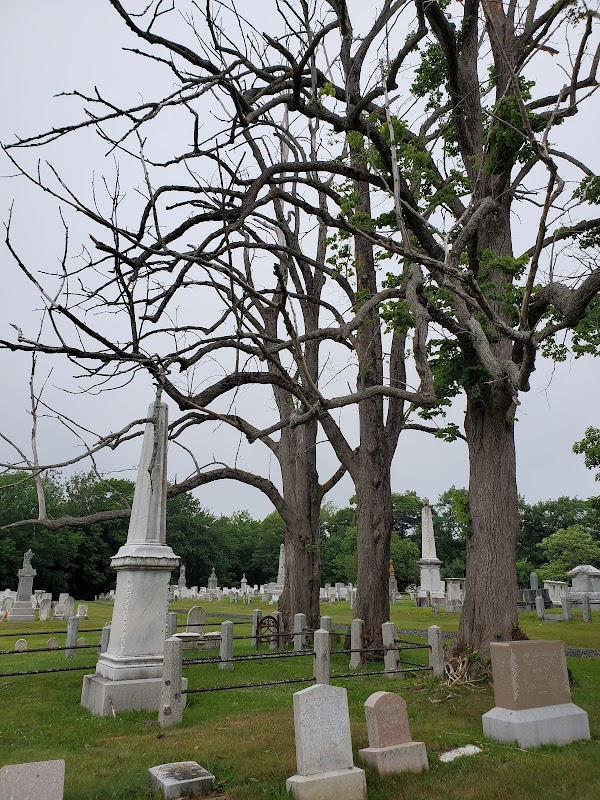 Seaview Cemetery grounds