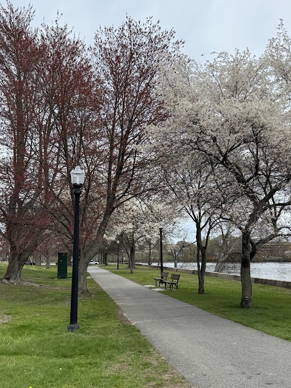 Sheehy Memorial Park grounds