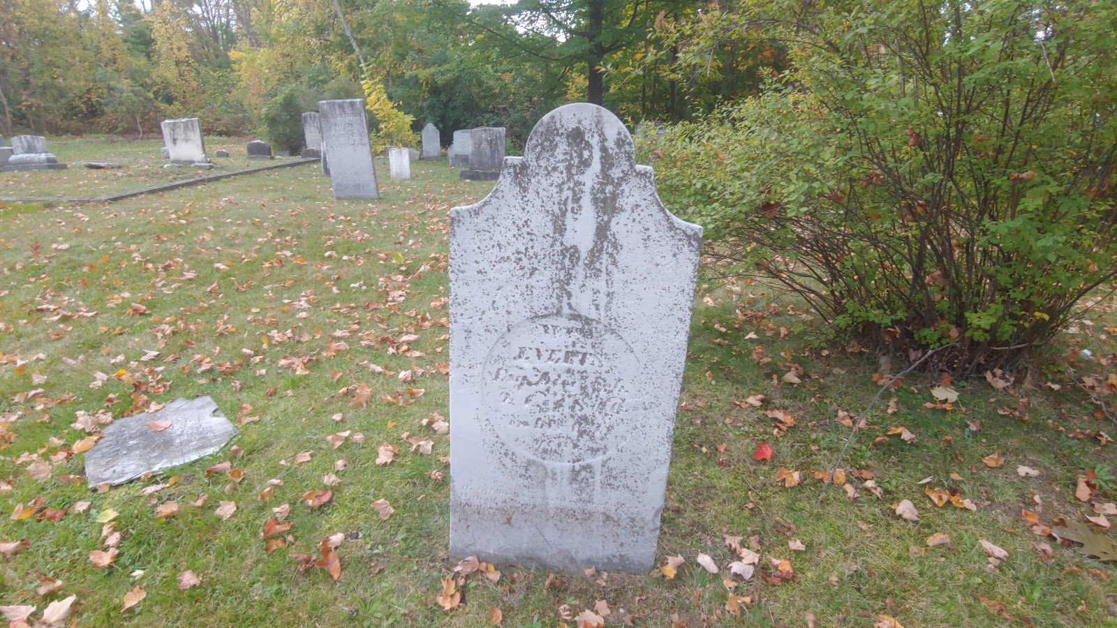 Shelburne Road Cemetery cemetery grounds and headstones