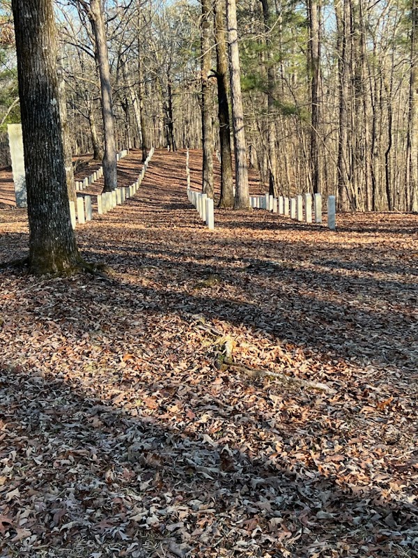 Shelby Springs Confederate Cemetary grounds