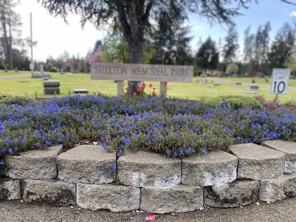 Shelton Memorial Park grounds