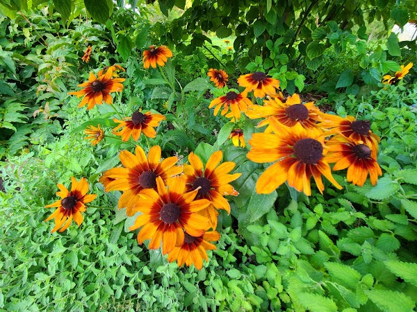 Sheridan Memorial Park grounds